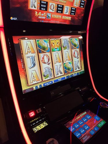 Dotty's Slots and Video Poker