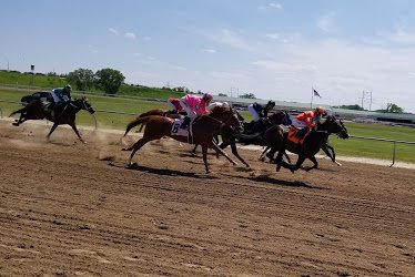 Horsemen's Park Horse Track