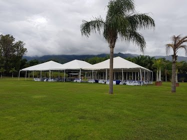 JARDIN LAS PALMAS